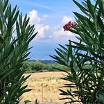 公寓 Delizioso In Sul Garda 波尔佩纳泽德尔加尔达