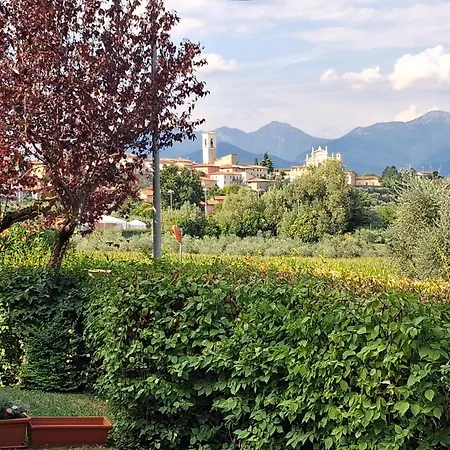 Delizioso In Sul Garda 公寓 波尔佩纳泽德尔加尔达