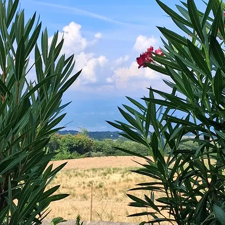 Apartament Delizioso In Sul Garda Polpenazze del Garda